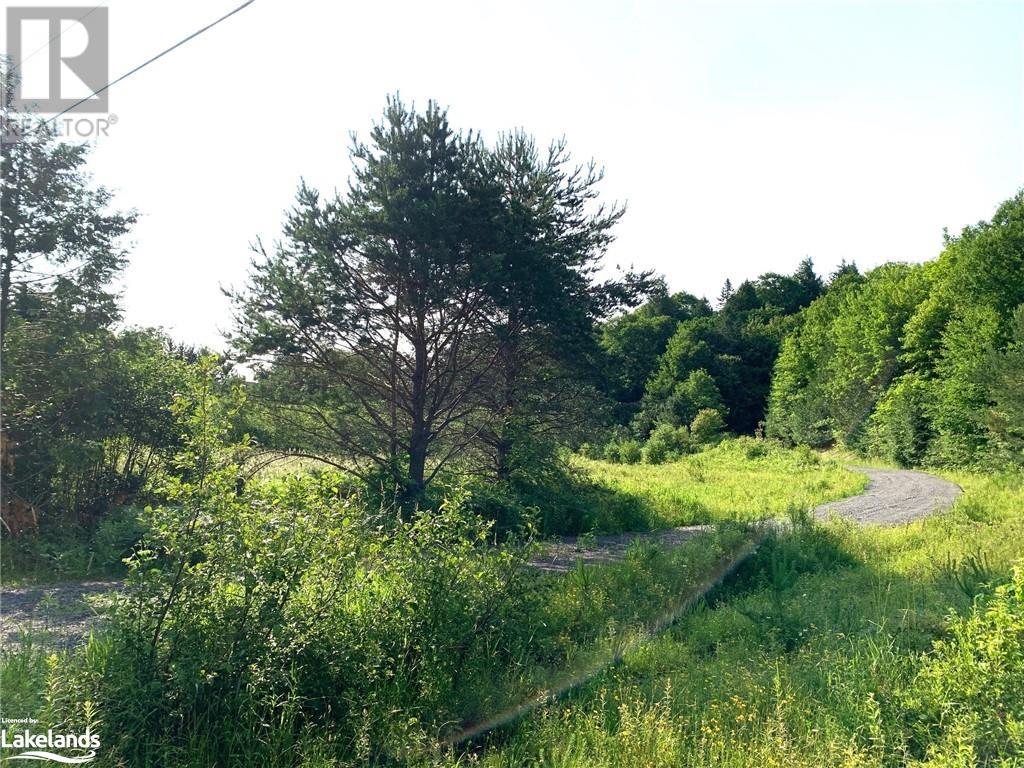 1275 Beatrice Townline Road, Bracebridge, Ontario  P1L 1X4 - Photo 21 - 40570560