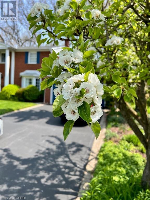 273 Cairncroft Road, Oakville, Ontario  L6J 4M5 - Photo 40 - 40570438