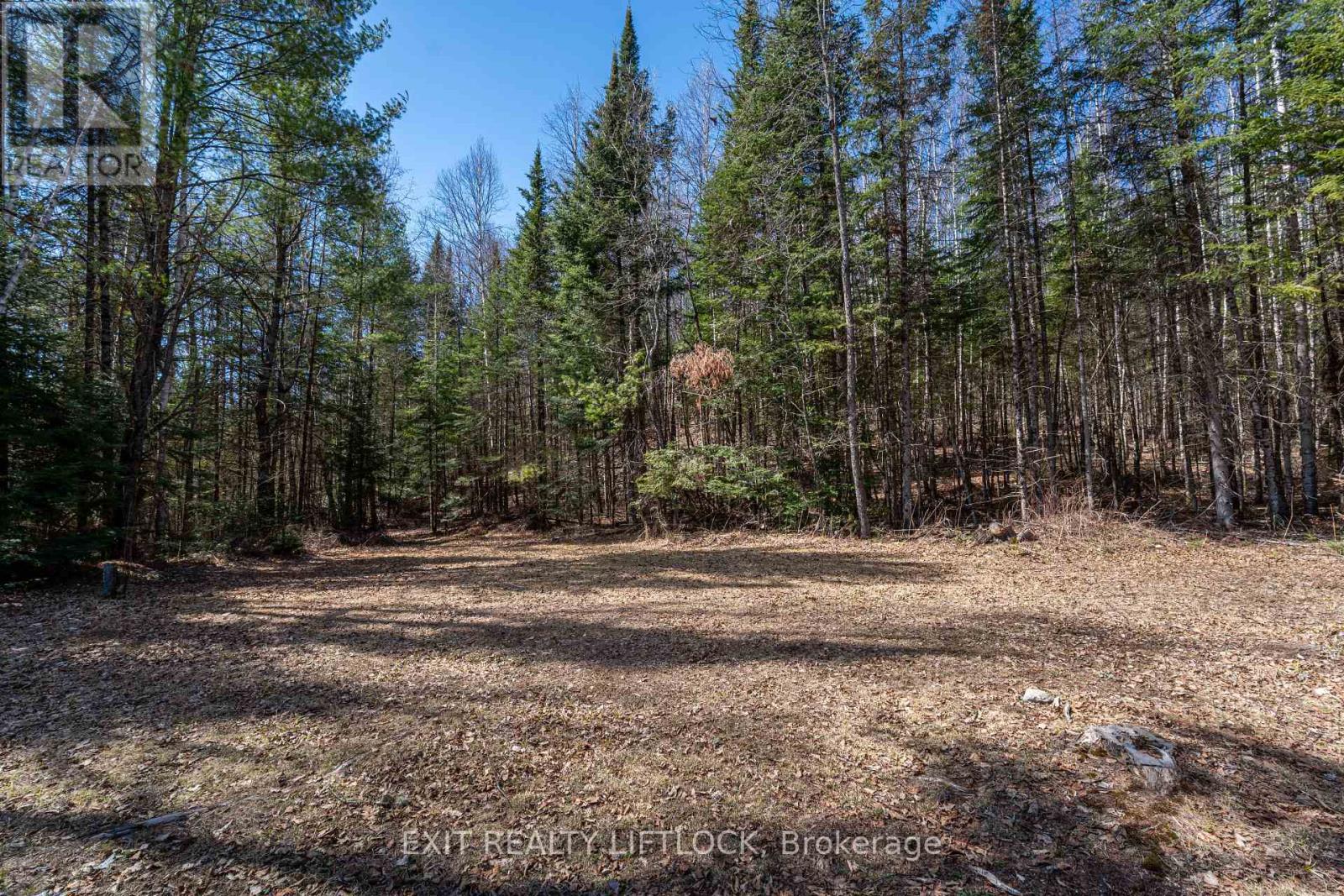 31474 Highway 28 Road E, Bancroft, Ontario  K0L 1C0 - Photo 33 - X8225922