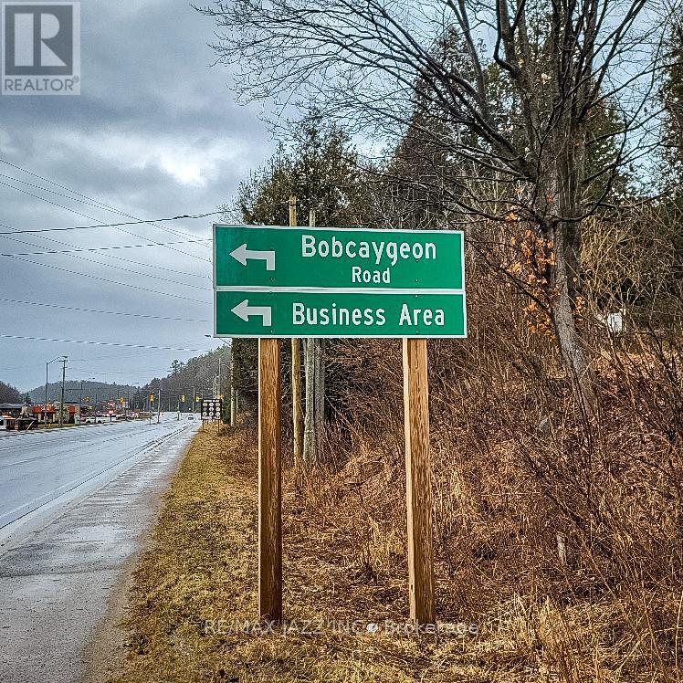 0 Bobcaygeon Road, Minden Hills, Ontario  K0L 2K0 - Photo 11 - X8028716