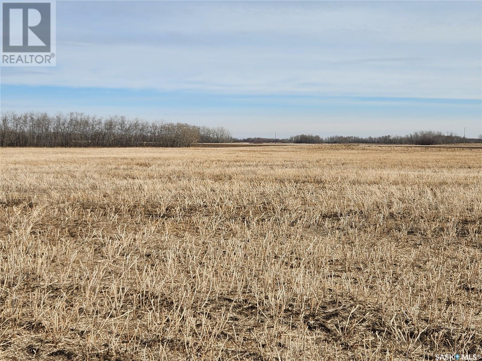 Rm Of Cana Farm, Cana Rm No. 214, Saskatchewan  S3N 2W4 - Photo 6 - SK965827