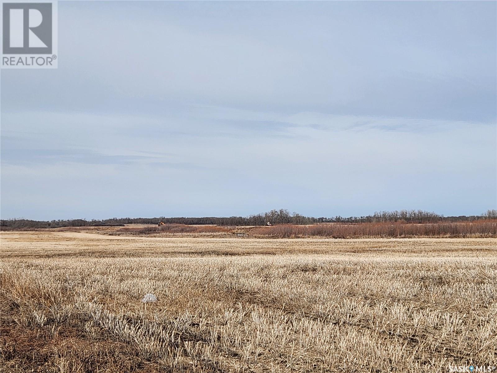 Rm Of Cana Farm, Cana Rm No. 214, Saskatchewan  S3N 2W4 - Photo 8 - SK965827