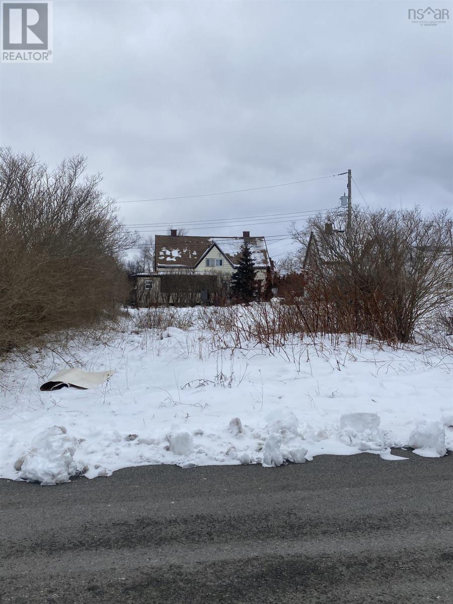 23 Peel Street, Glace Bay, Nova Scotia  B1A 2S1 - Photo 3 - 202407033