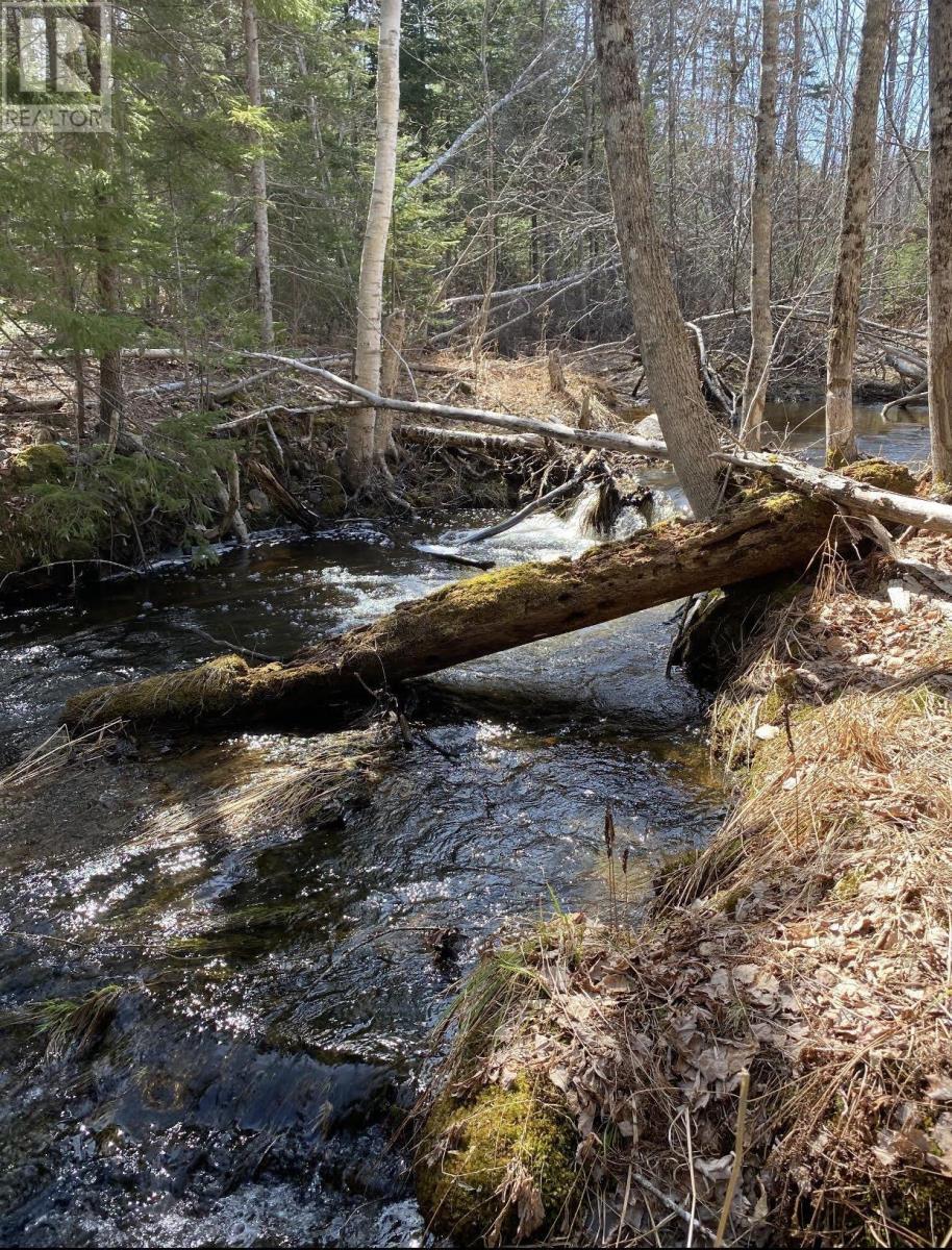 Lot 22 Lakeside Drive, Little Harbour, Nova Scotia  B0K 1X0 - Photo 12 - 202407035