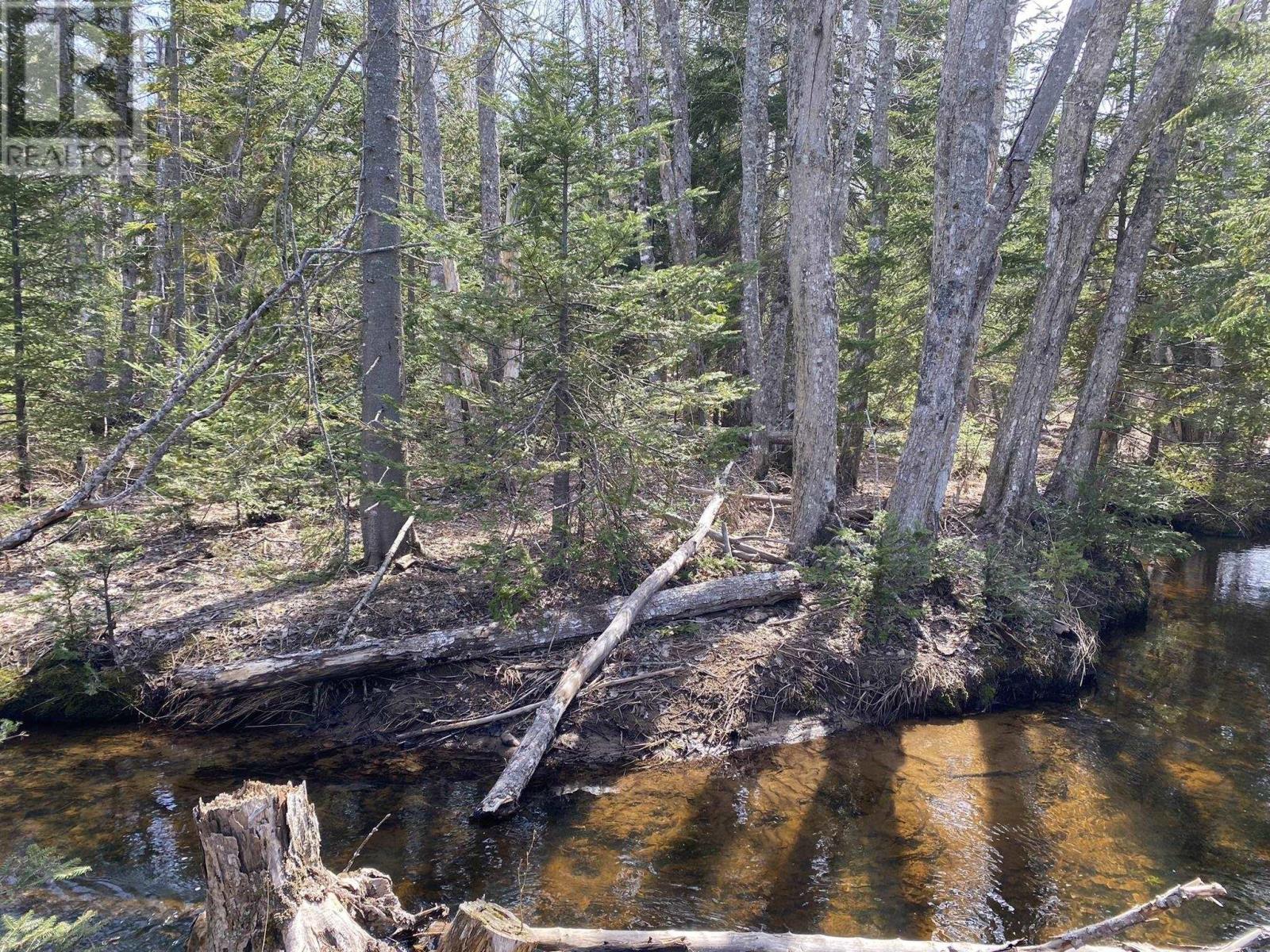 Lot 22 Lakeside Drive, Little Harbour, Nova Scotia  B0K 1X0 - Photo 13 - 202407035