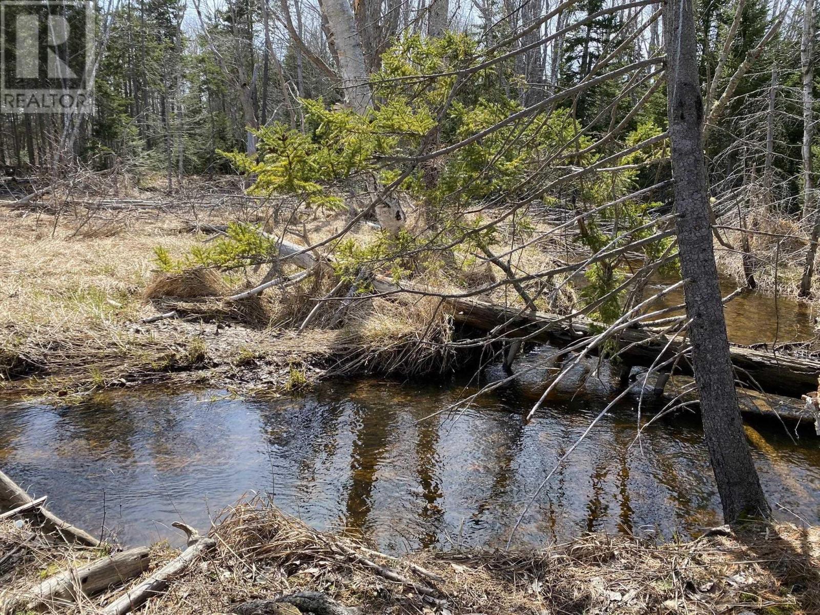 Lot 22 Lakeside Drive, Little Harbour, Nova Scotia  B0K 1X0 - Photo 14 - 202407035