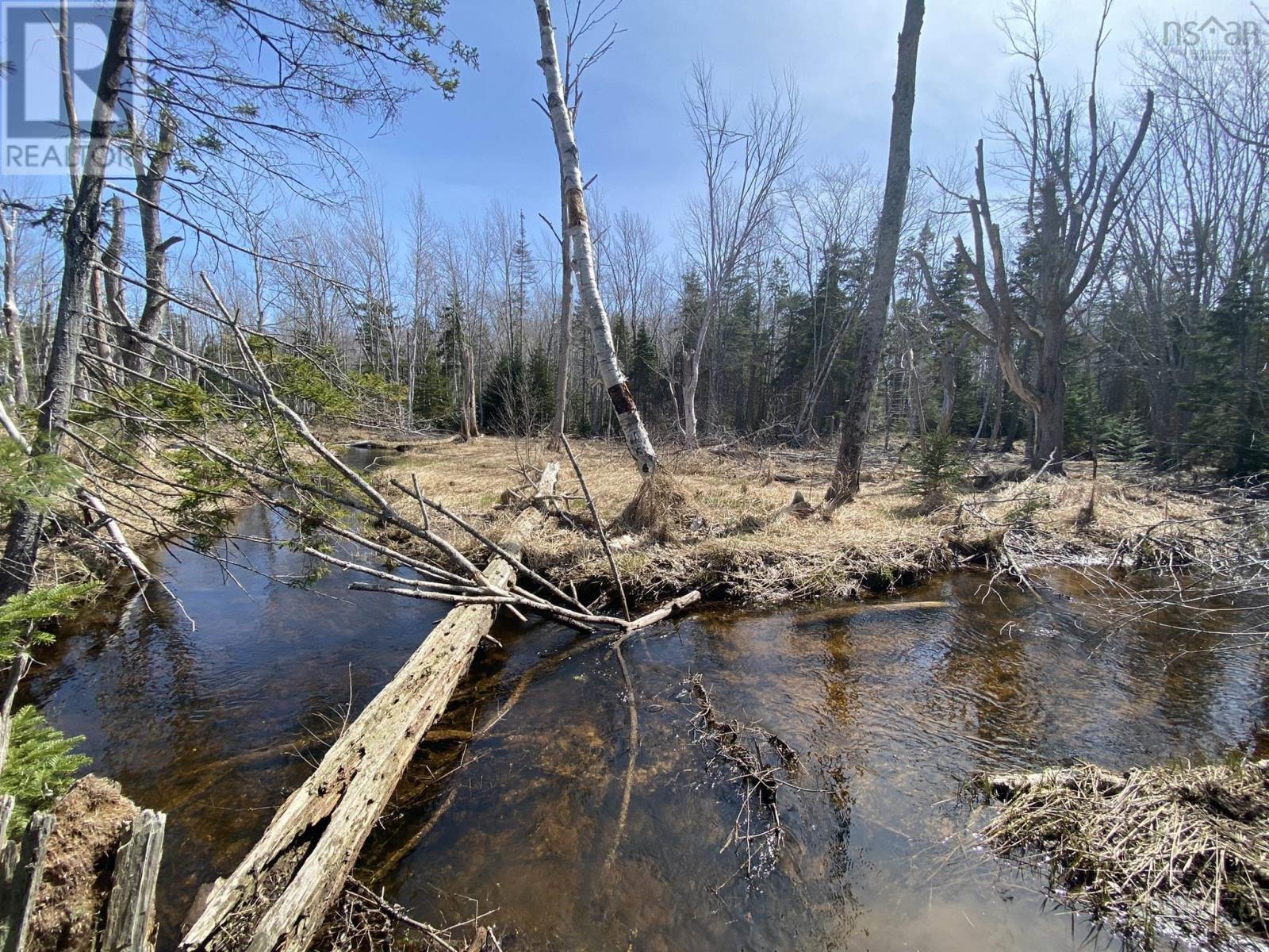 Lot 22 Lakeside Drive, Little Harbour, Nova Scotia  B0K 1X0 - Photo 16 - 202407035