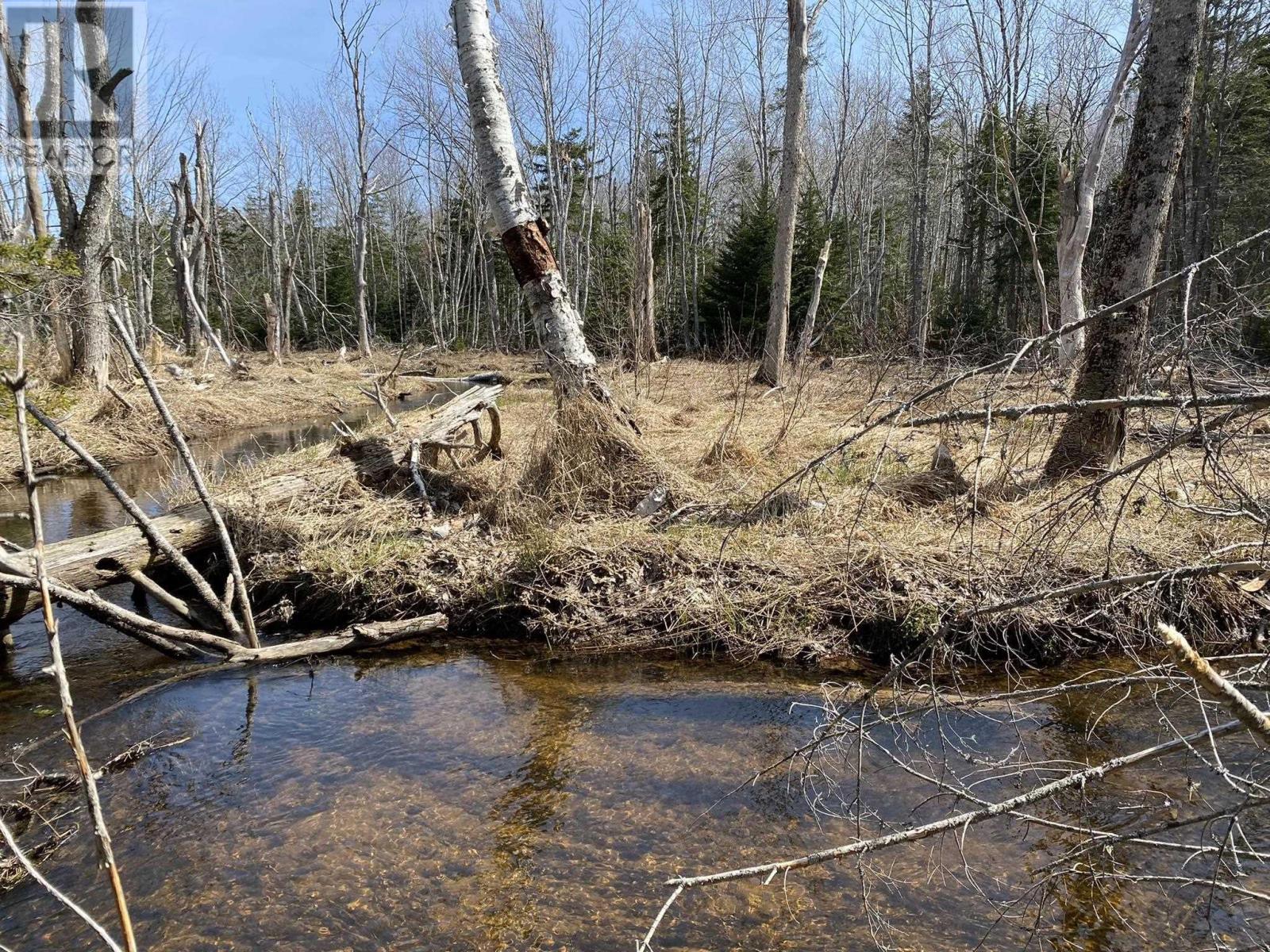 Lot 22 Lakeside Drive, Little Harbour, Nova Scotia  B0K 1X0 - Photo 17 - 202407035