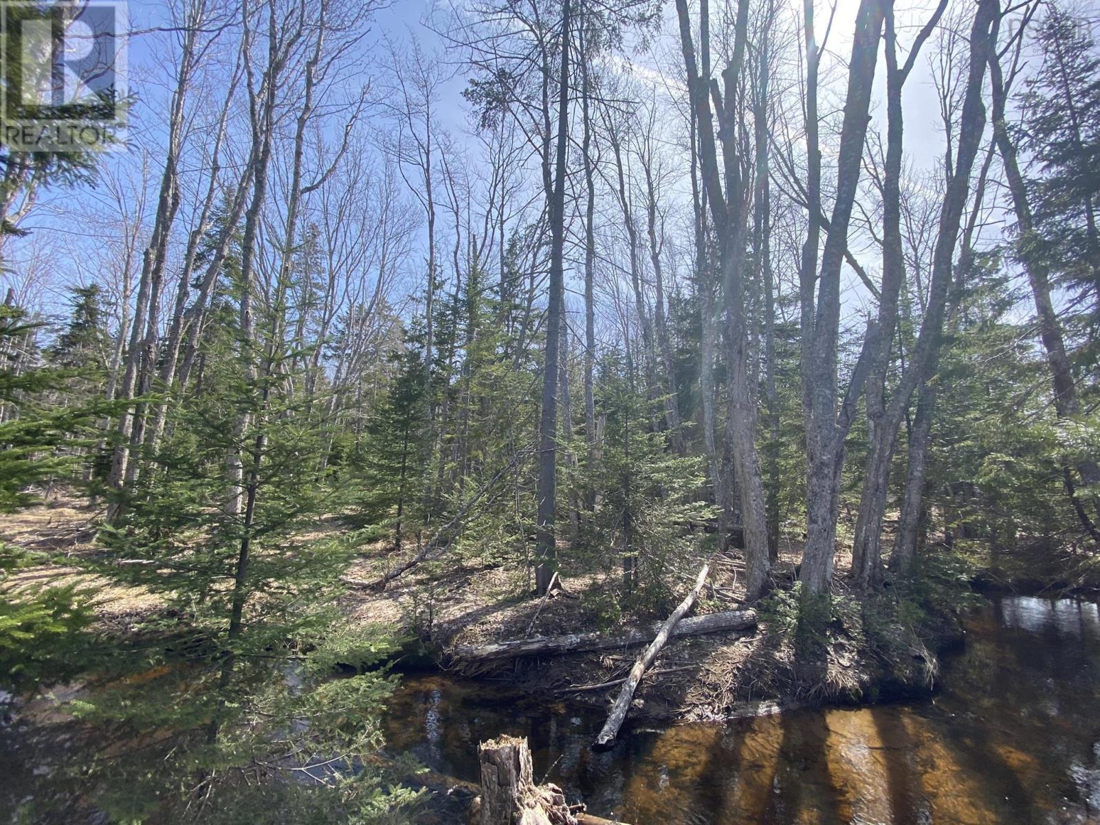 Lot 22 Lakeside Drive, Little Harbour, Nova Scotia  B0K 1X0 - Photo 23 - 202407035