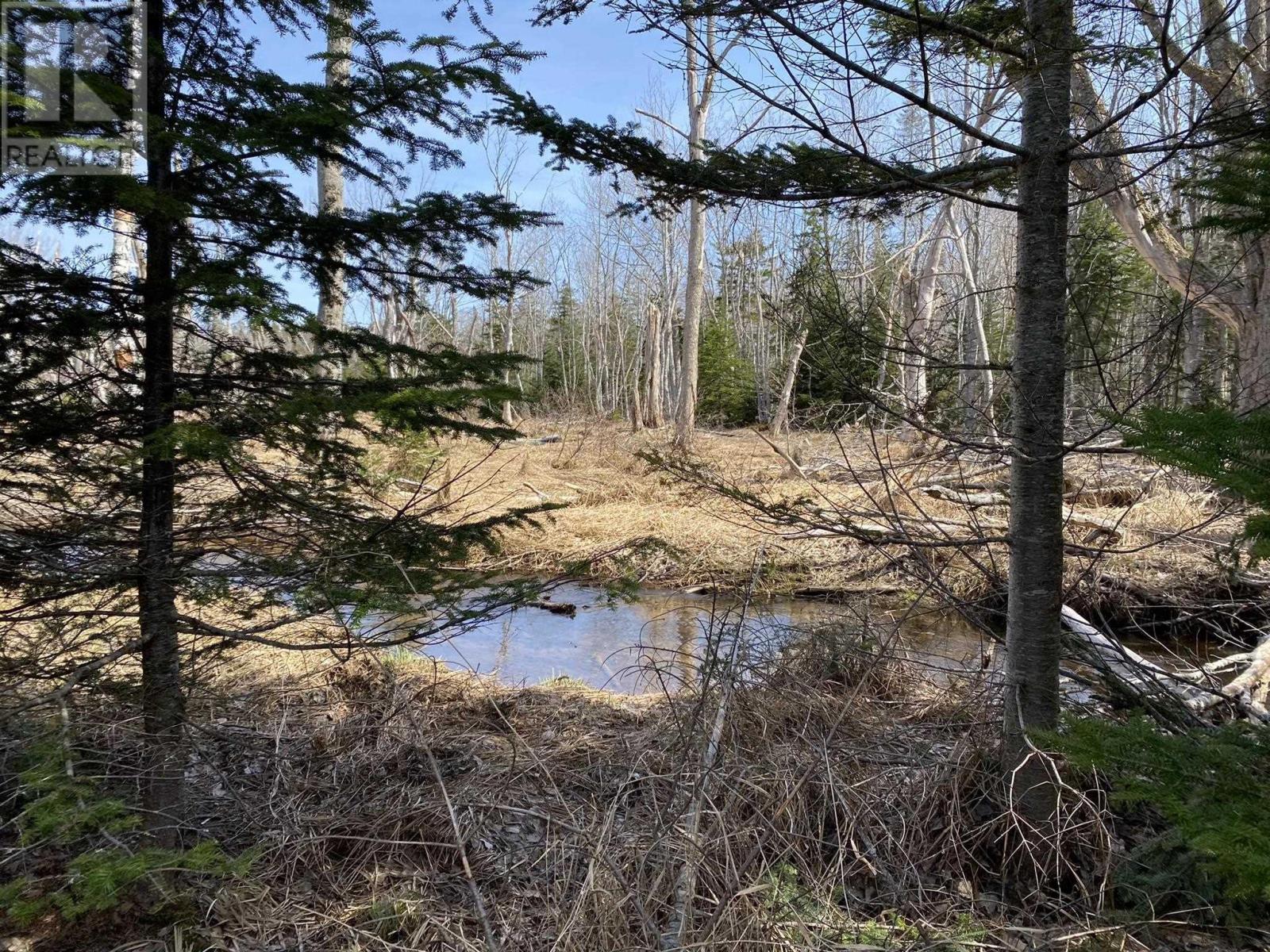 Lot 22 Lakeside Drive, Little Harbour, Nova Scotia  B0K 1X0 - Photo 25 - 202407035
