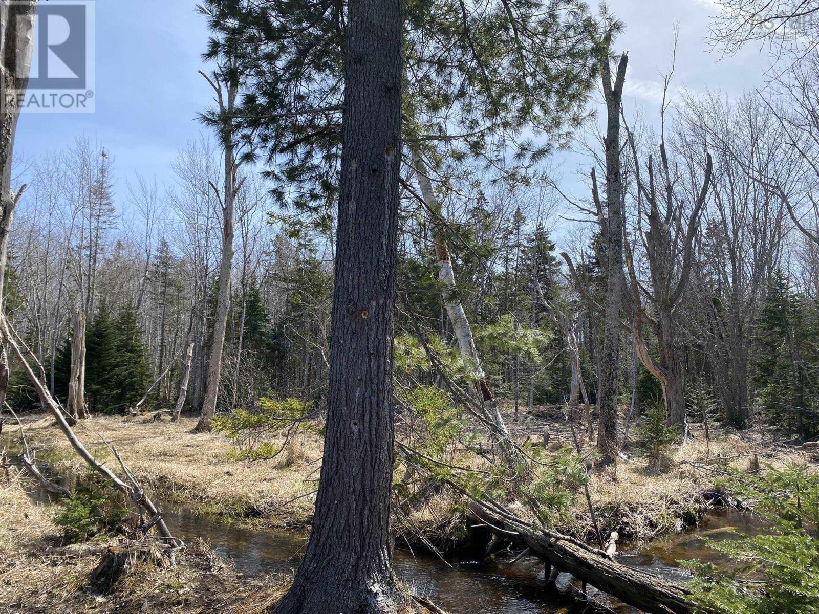 Lot 22 Lakeside Drive, Little Harbour, Nova Scotia  B0K 1X0 - Photo 26 - 202407035