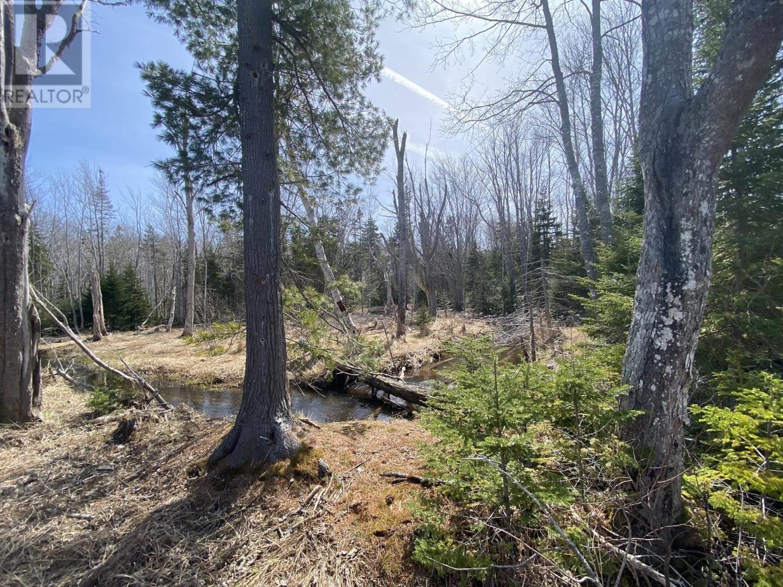 Lot 22 Lakeside Drive, Little Harbour, Nova Scotia  B0K 1X0 - Photo 27 - 202407035