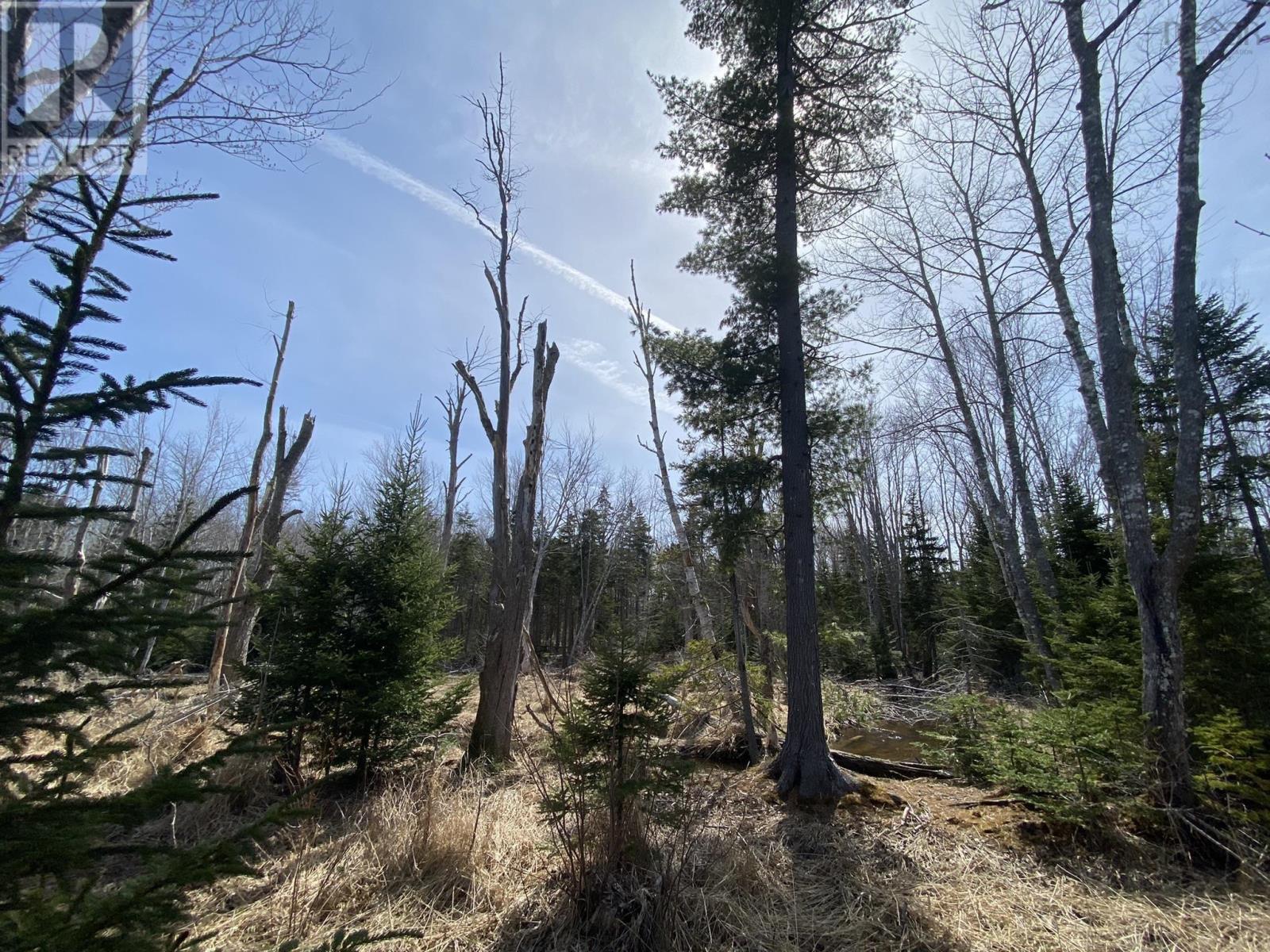 Lot 22 Lakeside Drive, Little Harbour, Nova Scotia  B0K 1X0 - Photo 28 - 202407035