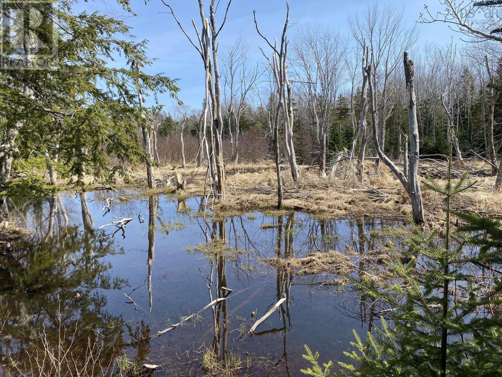 Lot 22 Lakeside Drive, Little Harbour, Nova Scotia  B0K 1X0 - Photo 29 - 202407035