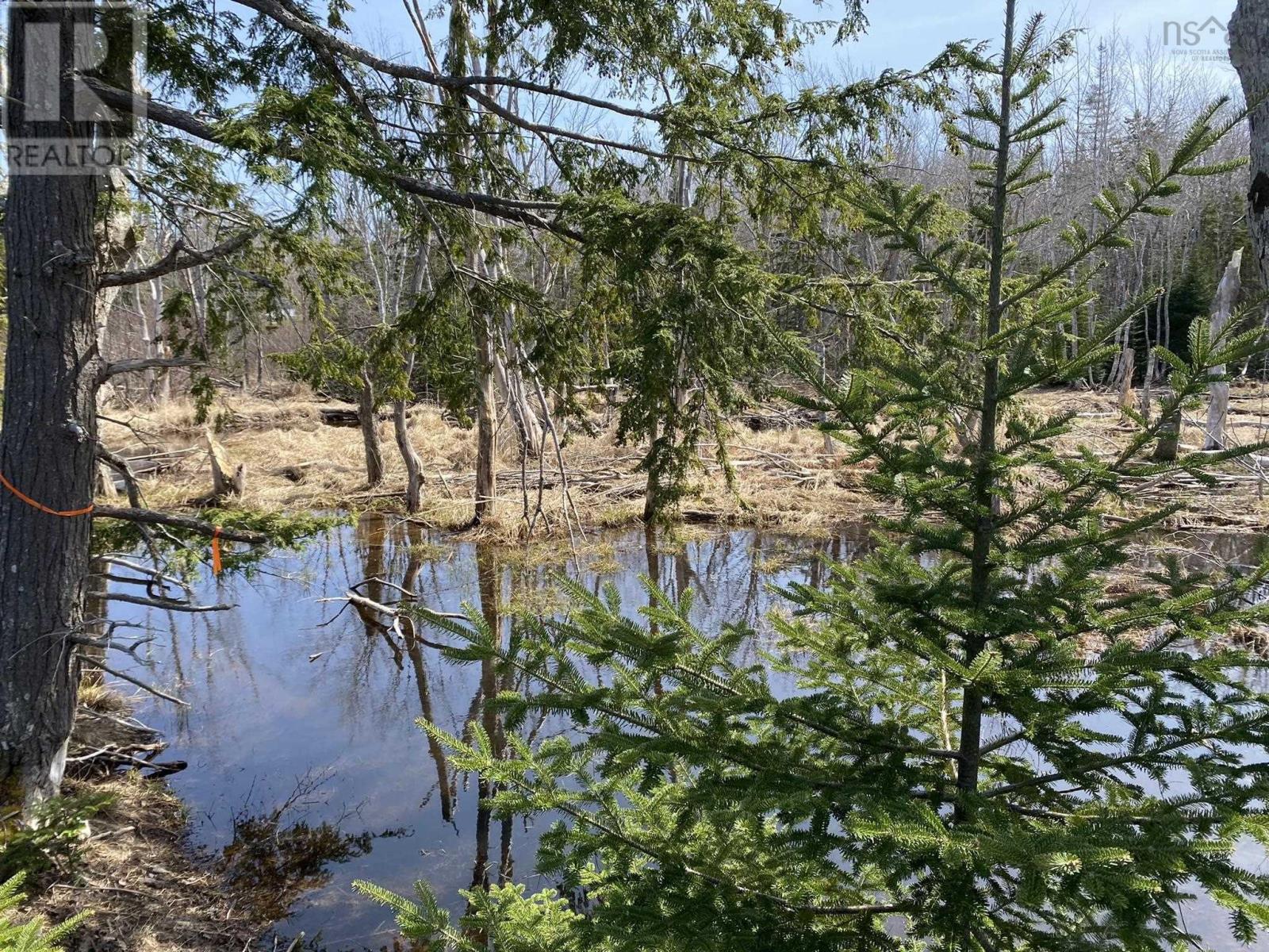 Lot 22 Lakeside Drive, Little Harbour, Nova Scotia  B0K 1X0 - Photo 30 - 202407035