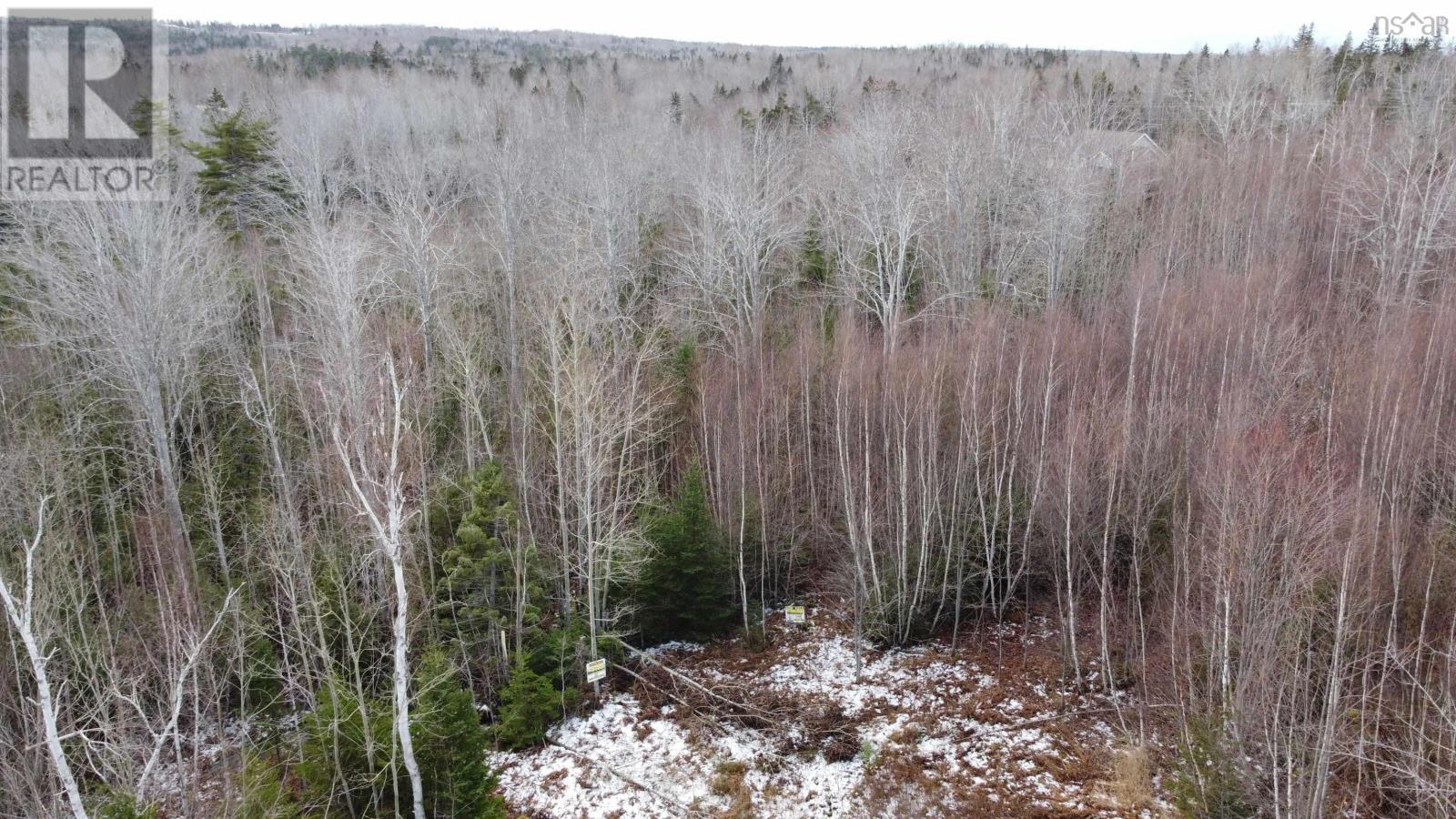 Lot 22 Lakeside Drive, Little Harbour, Nova Scotia  B0K 1X0 - Photo 5 - 202407035