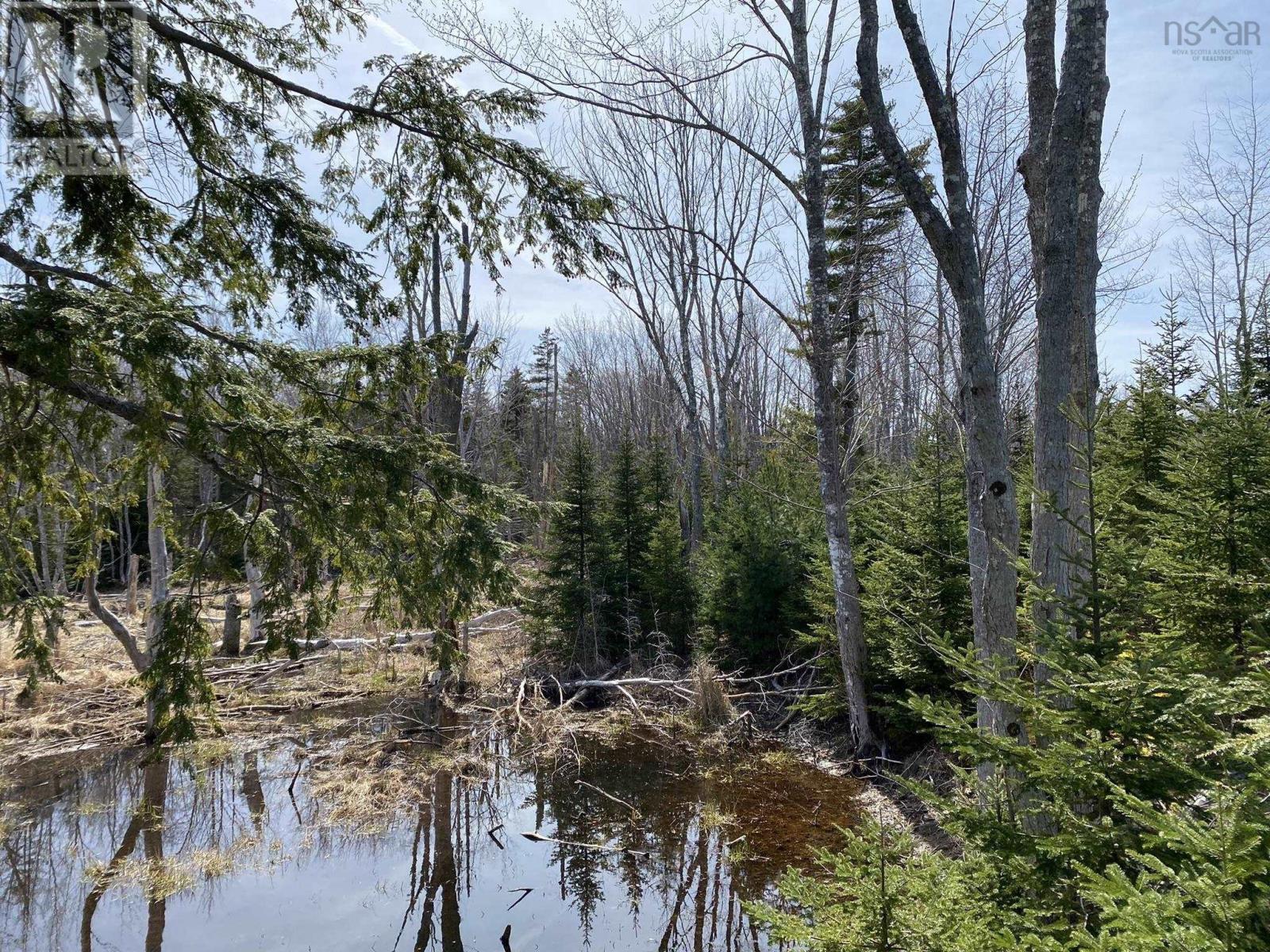 Lot 22 Lakeside Drive, Little Harbour, Nova Scotia  B0K 1X0 - Photo 8 - 202407035