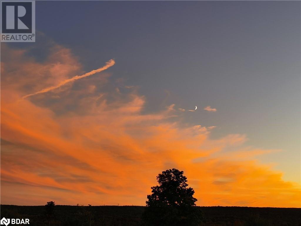 8 Morgan Drive, Oro-Medonte, Ontario  L0K 1E0 - Photo 39 - 40565113