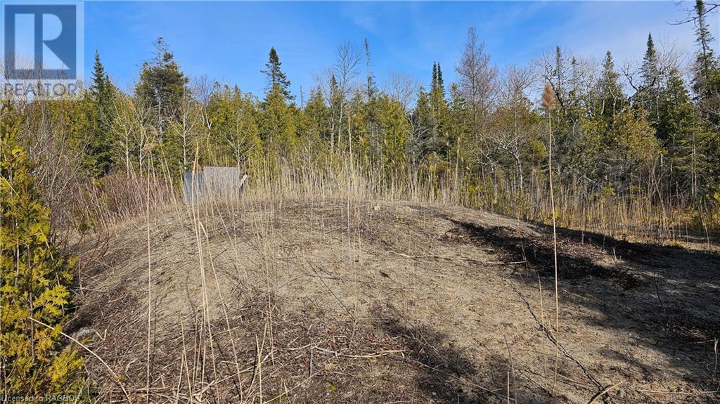 743 Spry Road, Northern Bruce Peninsula, Ontario  N0H 1W0 - Photo 11 - 40570456