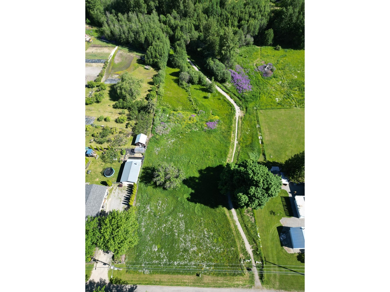 924 Devon Street, Creston, British Columbia  V0B 1G6 - Photo 3 - 2476116