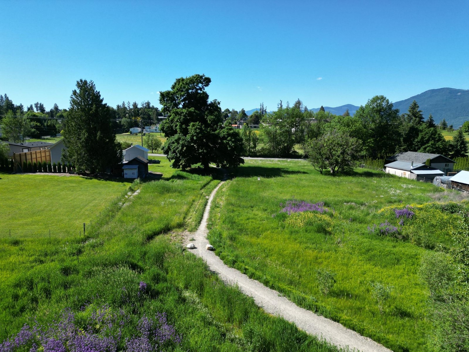 924 Devon Street, Creston, British Columbia  V0B 1G6 - Photo 7 - 2476116