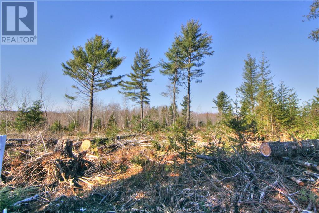 Lot 24-6 Route 510, Main River, New Brunswick  E4T 1V2 - Photo 3 - M158588