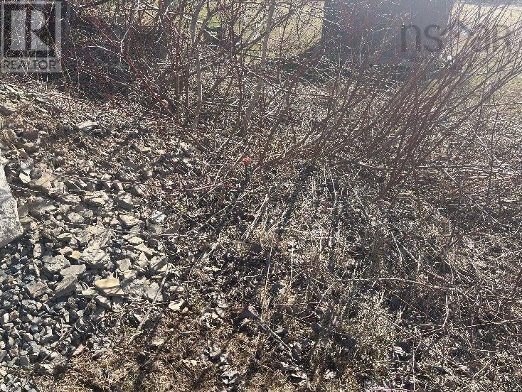 Lot 5 23 Brynlees Lane, Mabou, Nova Scotia  B0E 1X0 - Photo 5 - 202407083