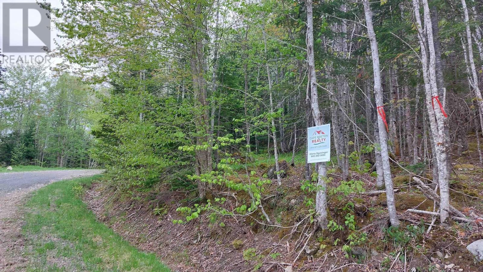 Glendale Mountain Road, Glendale, Nova Scotia  B0E 3L0 - Photo 11 - 202407086