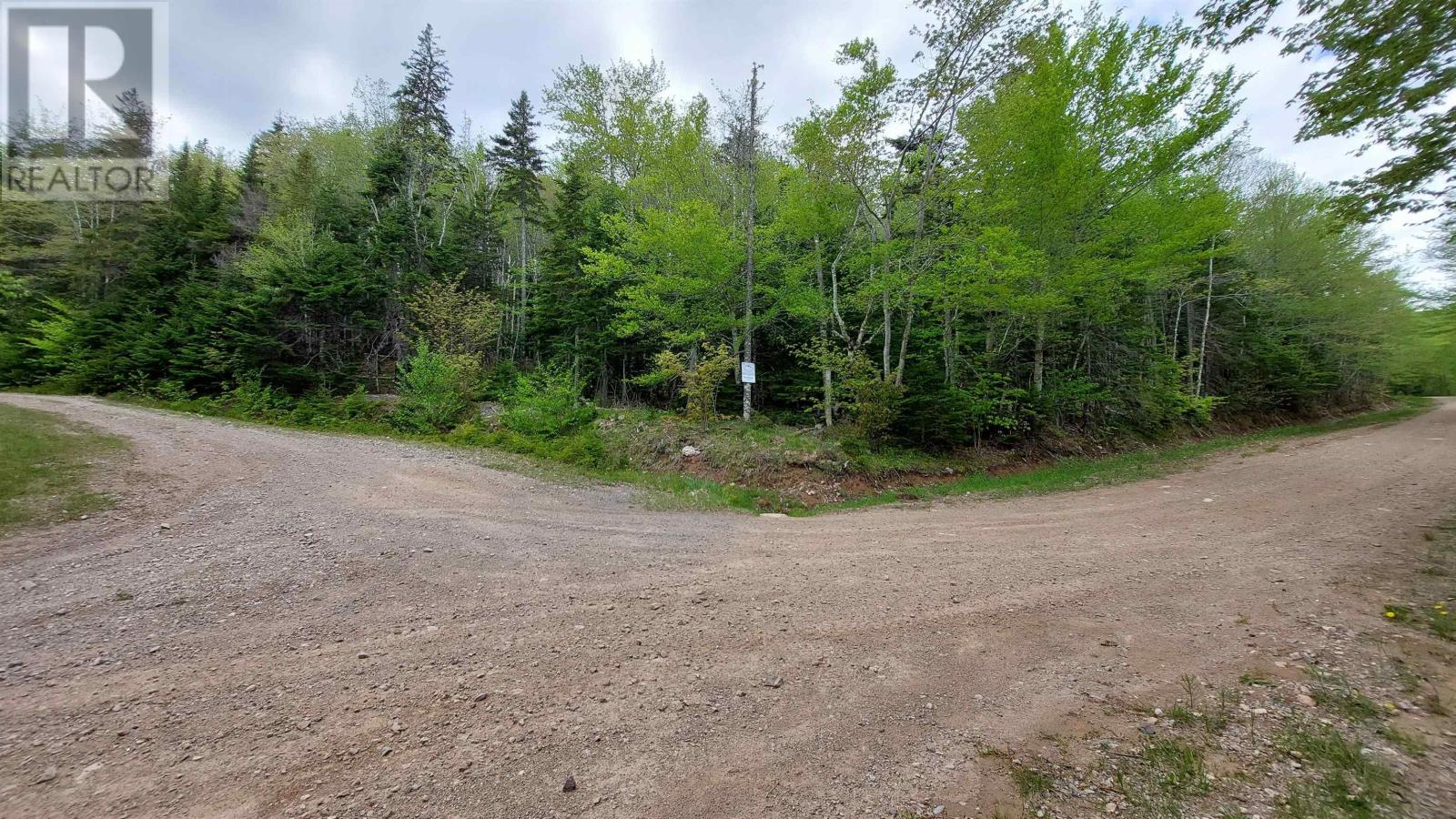Glendale Mountain Road, Glendale, Nova Scotia  B0E 3L0 - Photo 4 - 202407086
