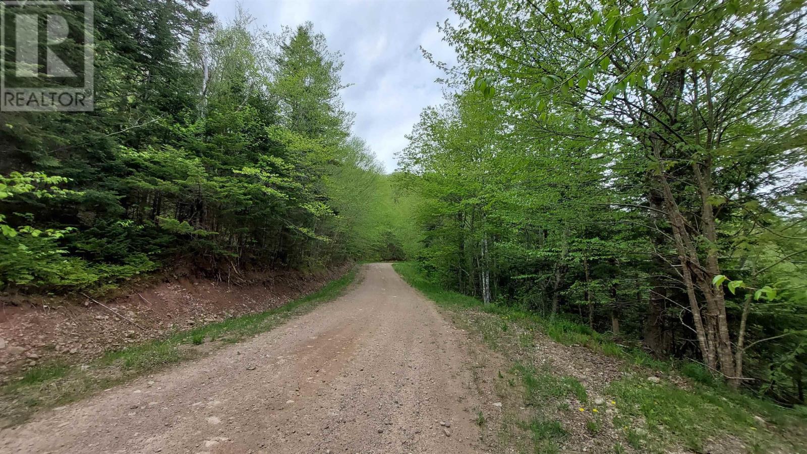 Glendale Mountain Road, Glendale, Nova Scotia  B0E 3L0 - Photo 6 - 202407086