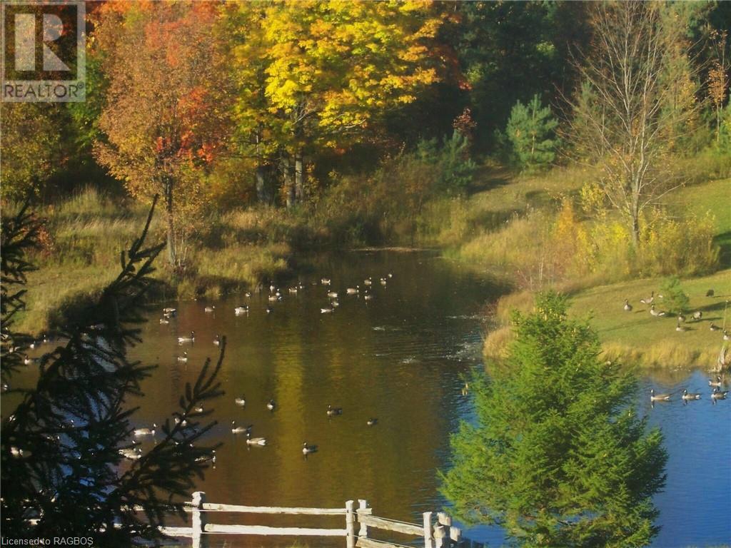 34 B Line, Arran-Elderslie, Ontario  N0G 2N0 - Photo 47 - 40570699