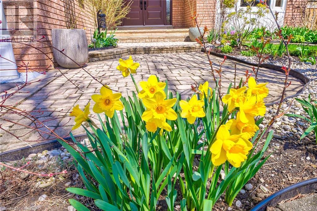 1237 Old Colony Road, Oakville, Ontario  L6M 1K8 - Photo 6 - 40571548