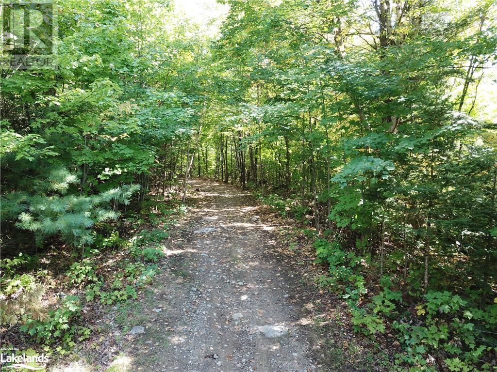 Lot 10 Concession 8, Kearney, Ontario  P0A 1M0 - Photo 6 - 40571271