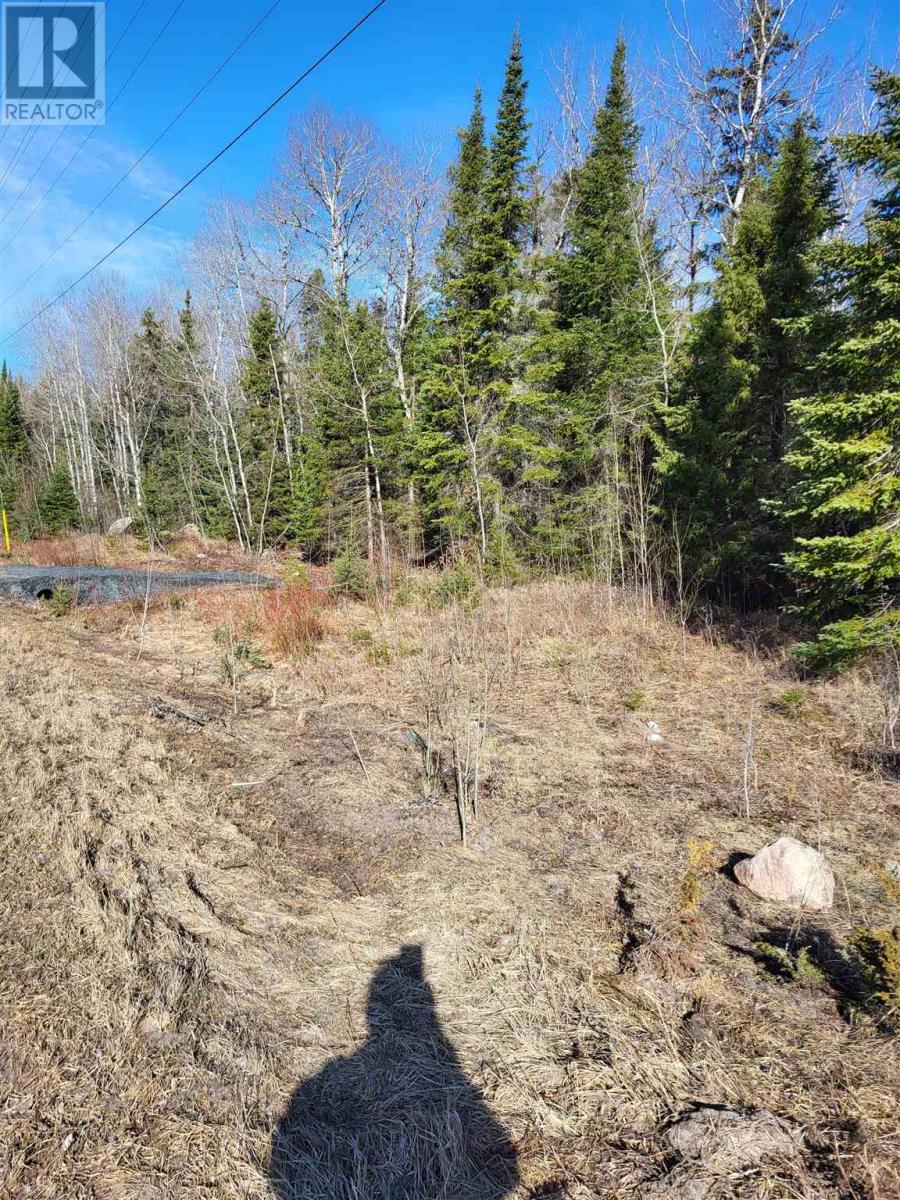 0 Jones Rd, Kenora, Ontario  P9N 3W8 - Photo 15 - TB240843
