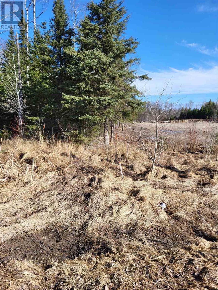 0 Jones Rd, Kenora, Ontario  P9N 3W8 - Photo 13 - TB240806