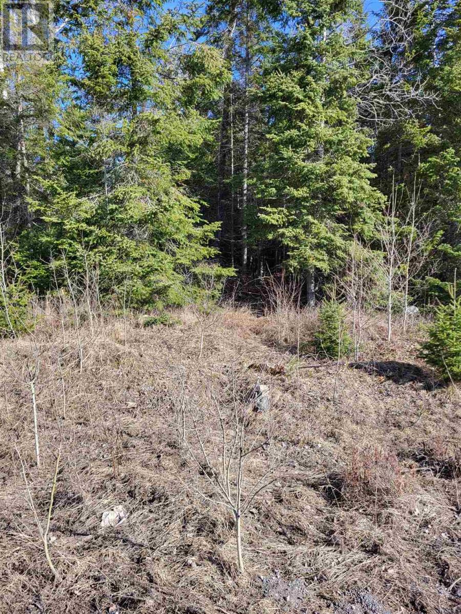 0 Jones Rd, Kenora, Ontario  P9N 3W8 - Photo 15 - TB240806