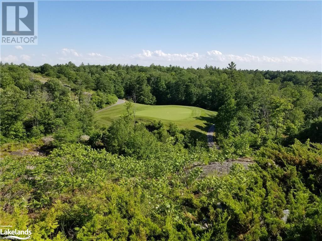 20 Carrick Trail, Gravenhurst, Ontario  P1P 1A0 - Photo 45 - 40566880