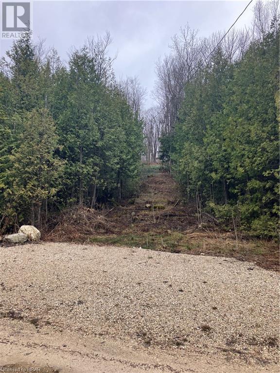 442822 Sideroad 12 Road, Bentinck, Ontario  N0G 1R0 - Photo 10 - 40571567