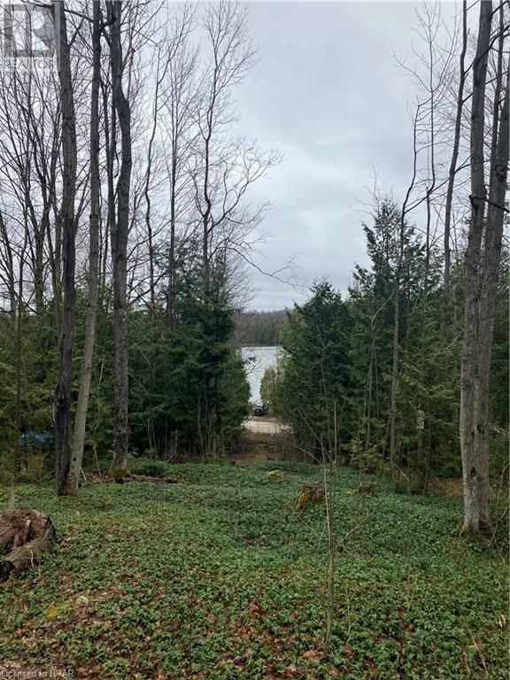 442822 Sideroad 12 Road, Bentinck, Ontario  N0G 1R0 - Photo 15 - 40571567