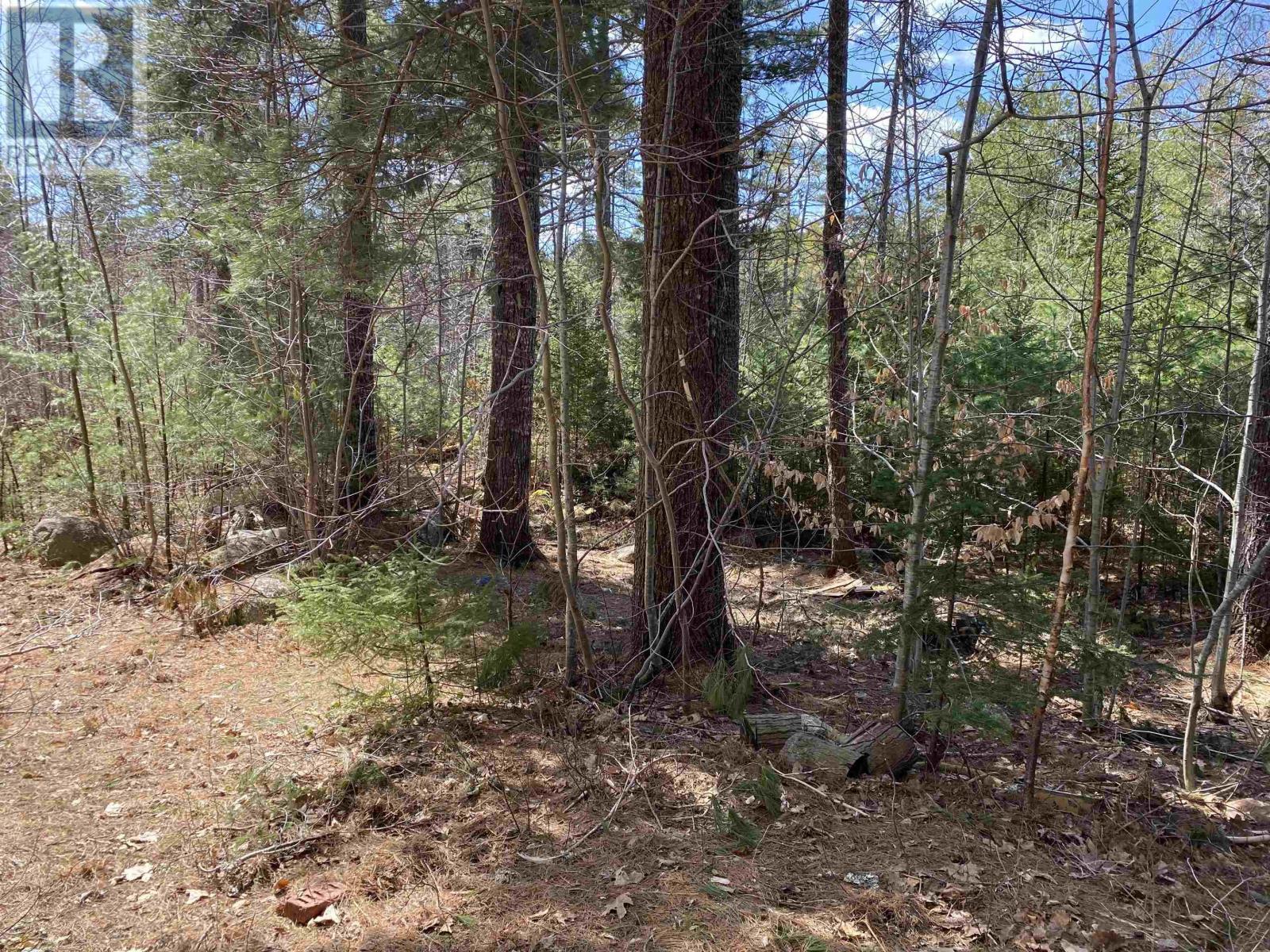 8187 Highway #8, South Brookfield, Nova Scotia  B0T 1X0 - Photo 35 - 202407181