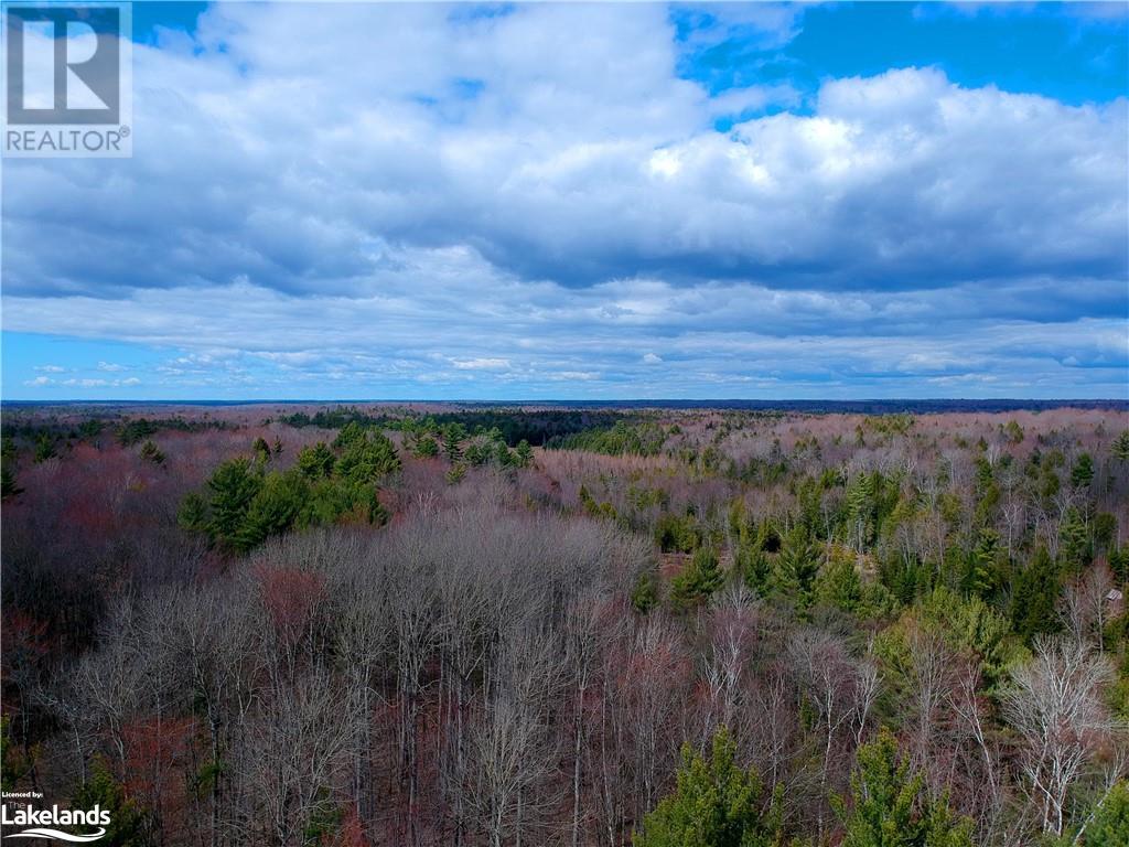 0 Rainey Road, Bracebridge, Ontario  P1L 1X1 - Photo 2 - 40571296