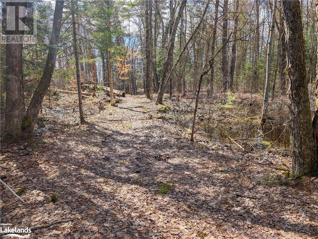 0 Rainey Road, Bracebridge, Ontario  P1L 1X1 - Photo 13 - 40571296