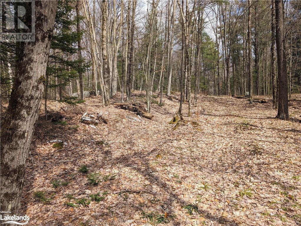 0 Rainey Road, Bracebridge, Ontario  P1L 1X1 - Photo 11 - 40571296