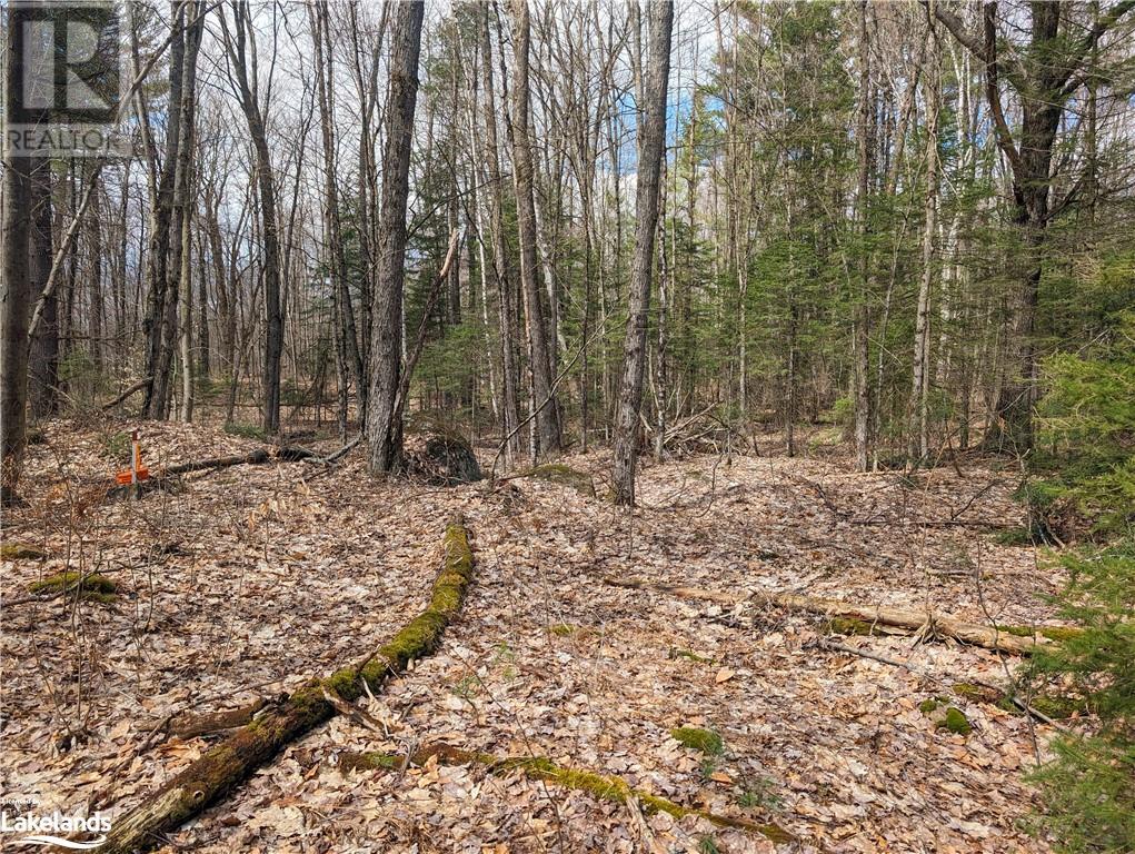 0 Rainey Road, Bracebridge, Ontario  P1L 1X1 - Photo 12 - 40571296