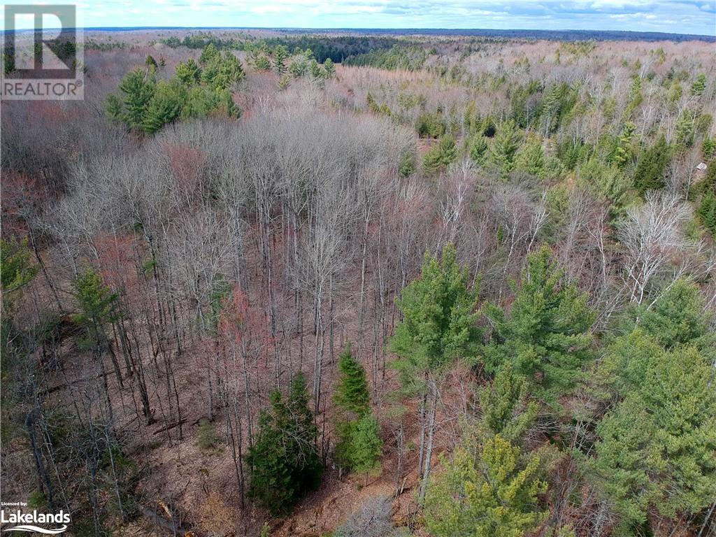 0 Rainey Road, Bracebridge, Ontario  P1L 1X1 - Photo 3 - 40571296