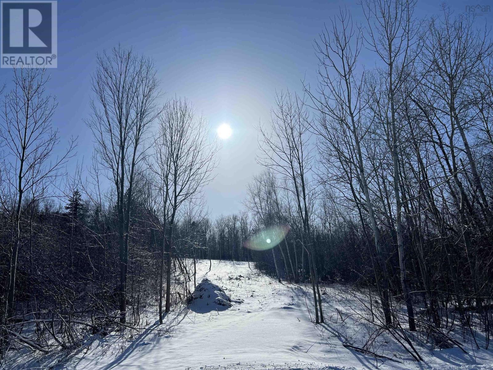 Lot 4 Bluff Road, Lockhartville, Nova Scotia  B0P 1P0 - Photo 13 - 202407211
