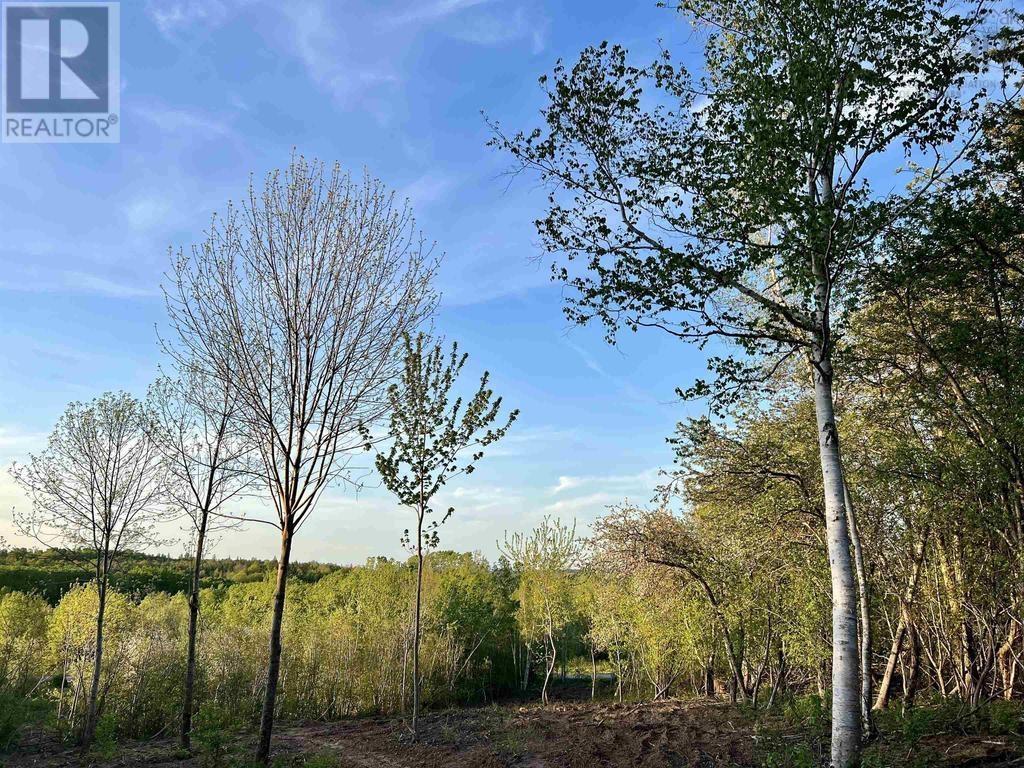 Lot 4 Bluff Road, Lockhartville, Nova Scotia  B0P 1P0 - Photo 2 - 202407211