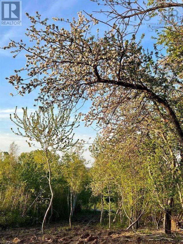Lot 4 Bluff Road, Lockhartville, Nova Scotia  B0P 1P0 - Photo 3 - 202407211