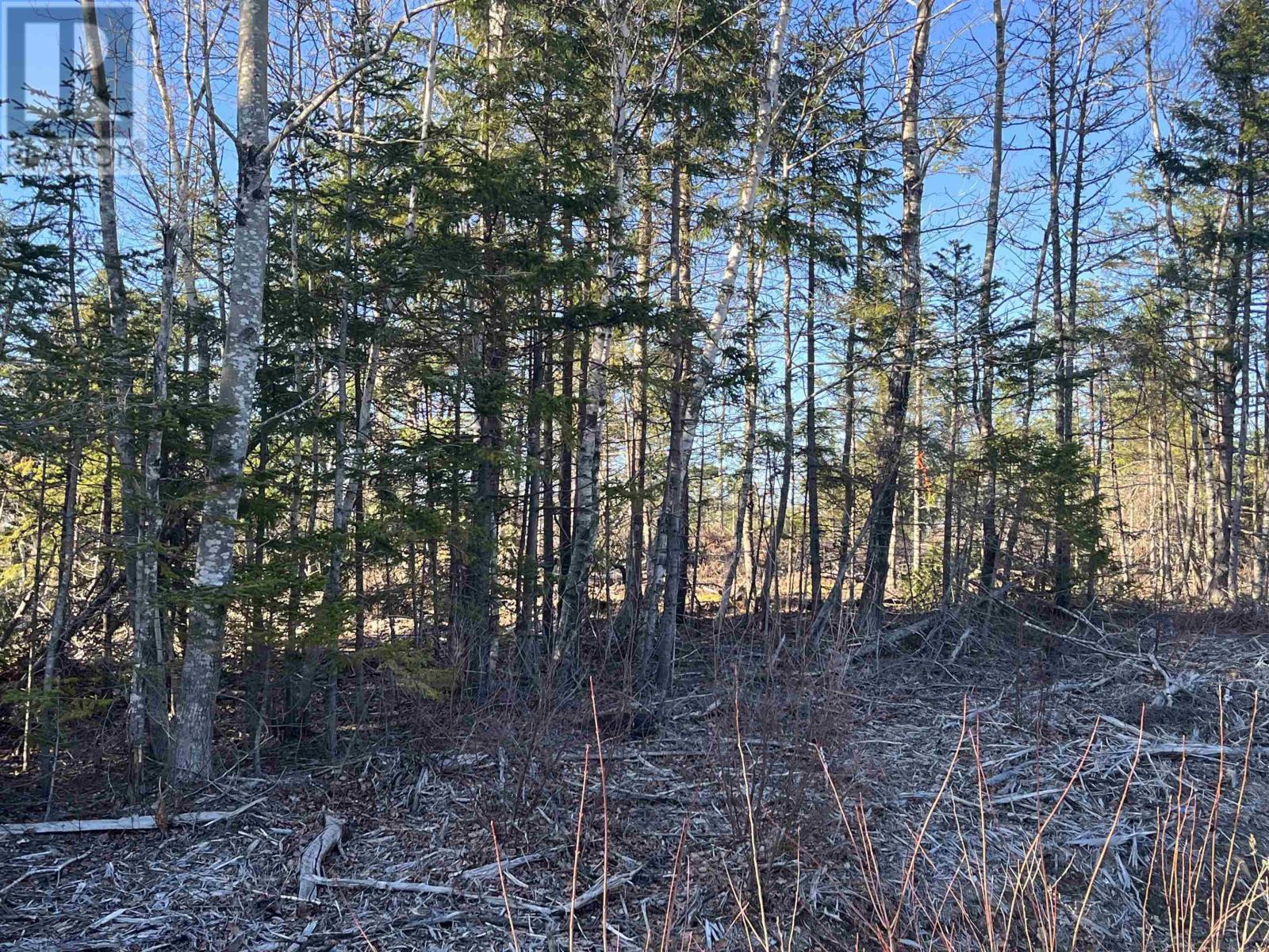 Lot 1 North River Road, Casey Corner, Nova Scotia  B4N 3V8 - Photo 1 - 202407213