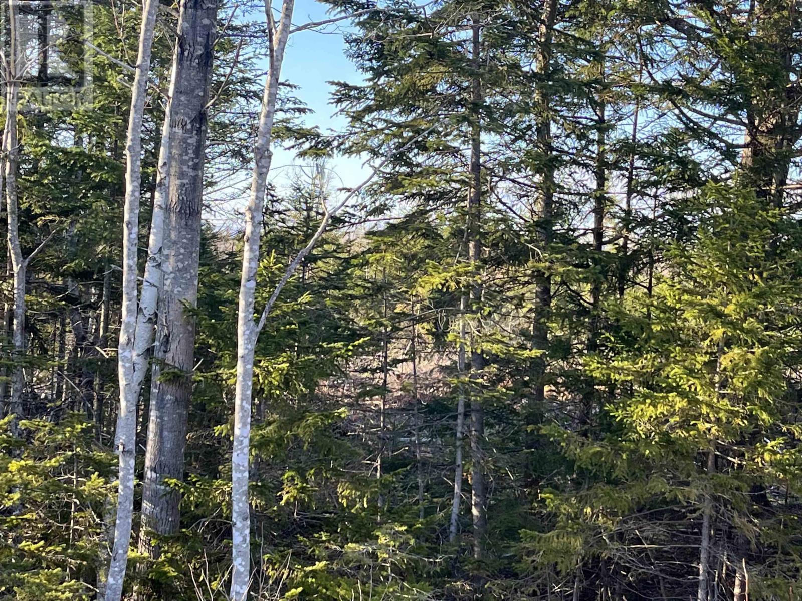Lot 1 North River Road, Casey Corner, Nova Scotia  B4N 3V8 - Photo 2 - 202407213